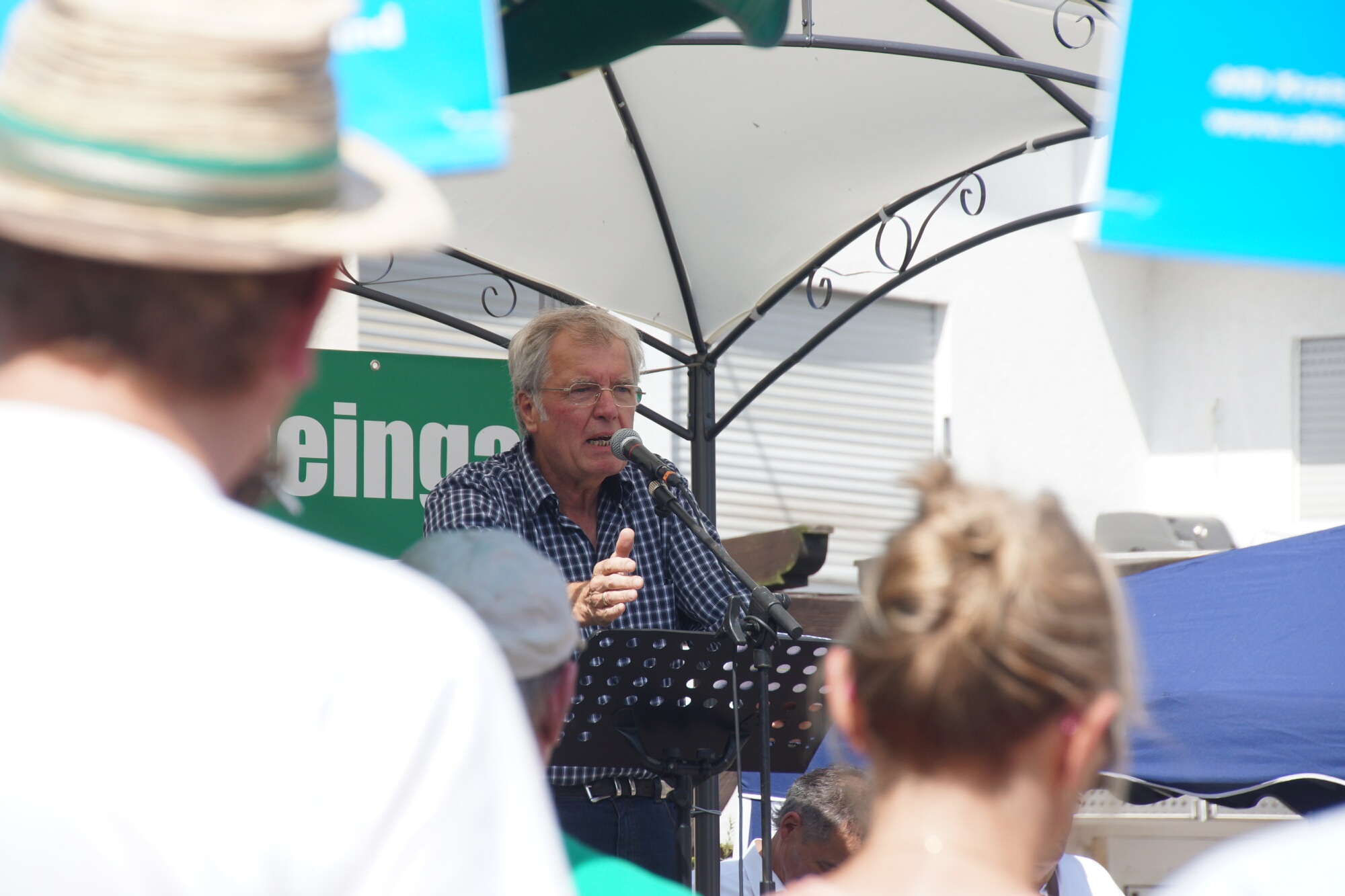 Stephanshausen DEMO Windwahn-20140719DSC08236.jpg